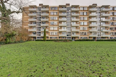 Blondeelstraat thumbnail