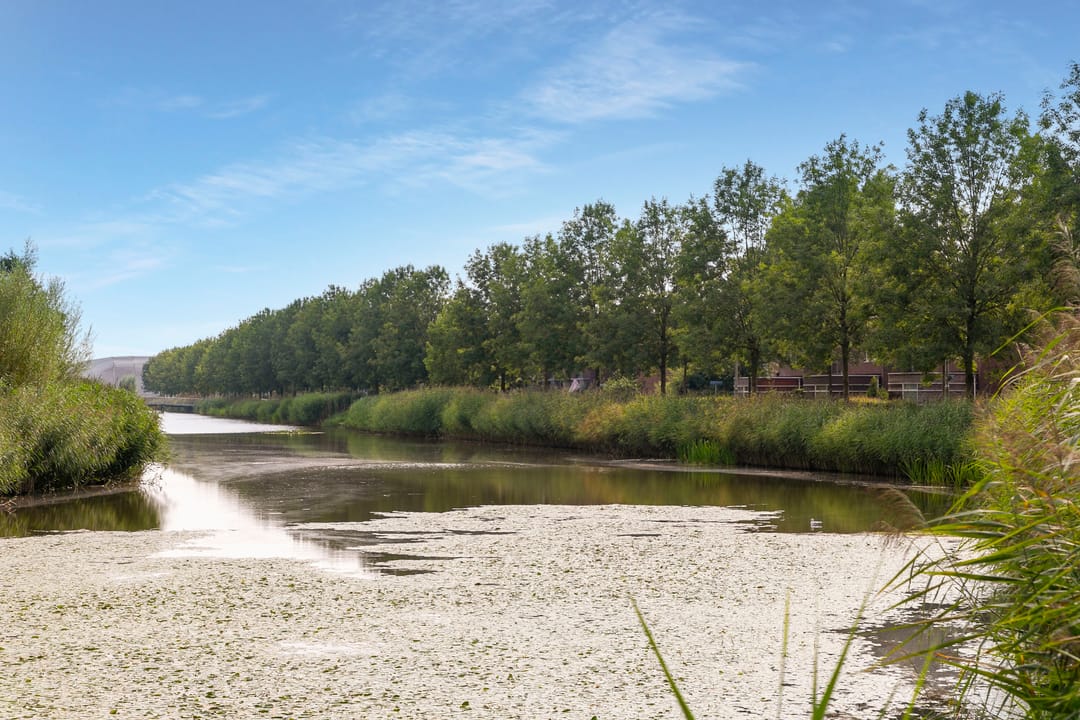 Photo 83 of Herbert Kawanstraat 3