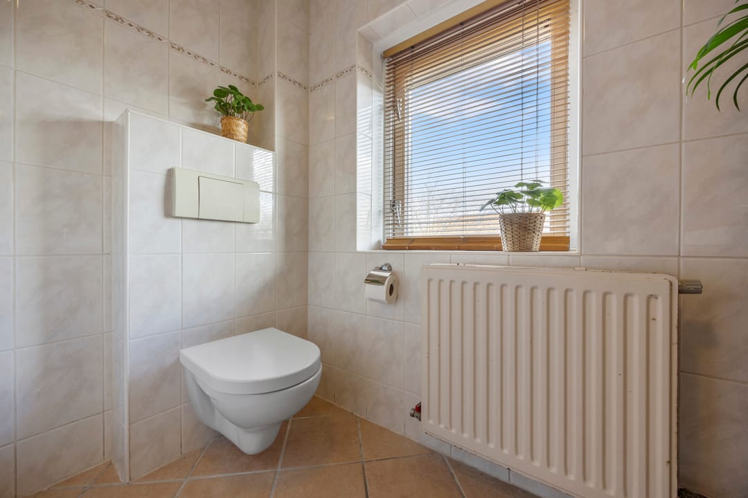 Photo 26 of Paulus Potterstraat 68