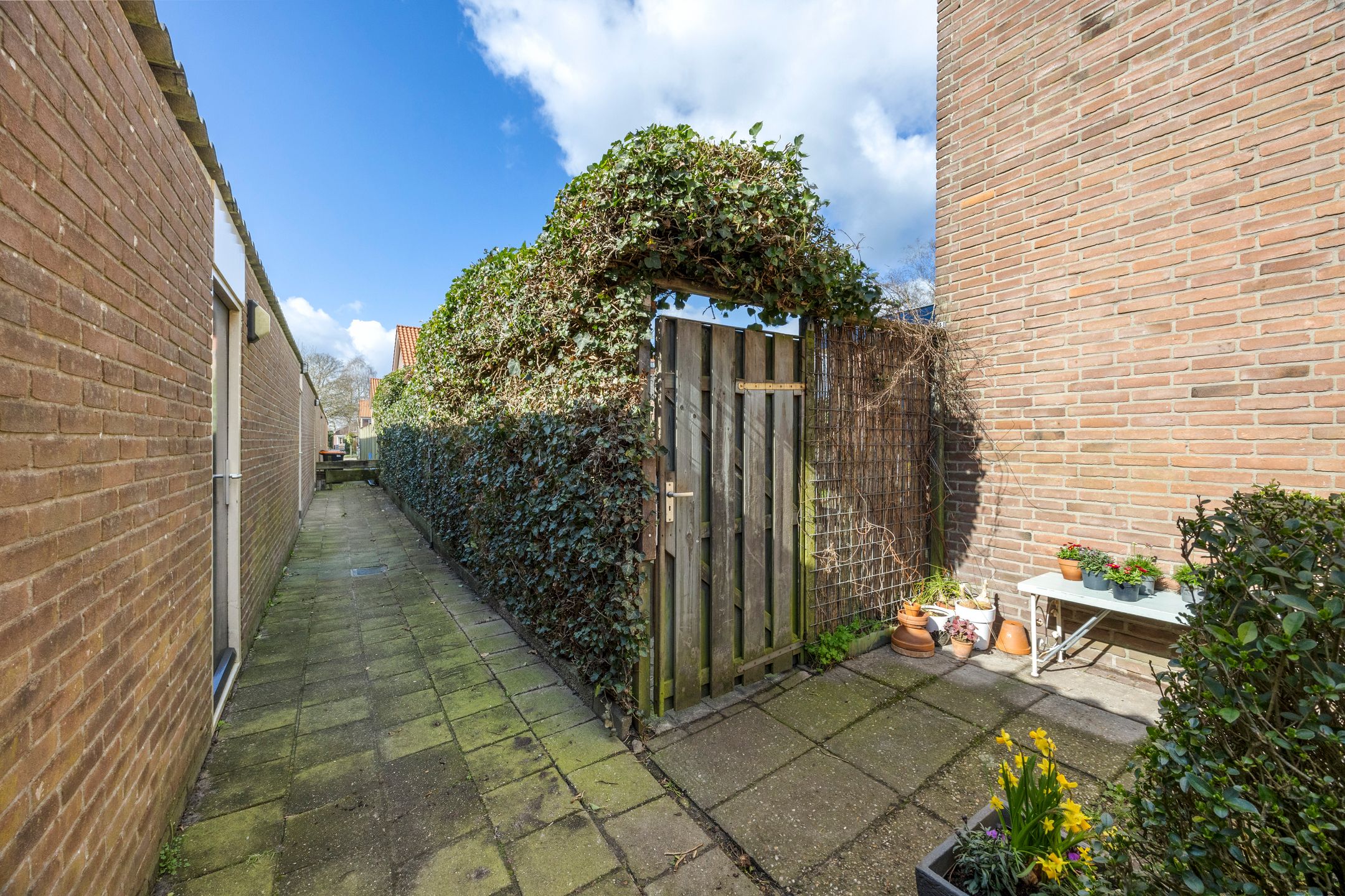 Photo 42 of Paulus Potterstraat 68