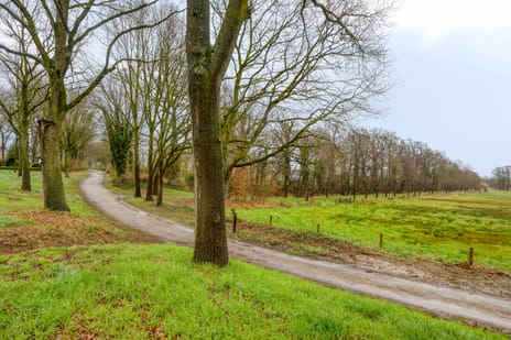 Hoosveld 52 secondary image