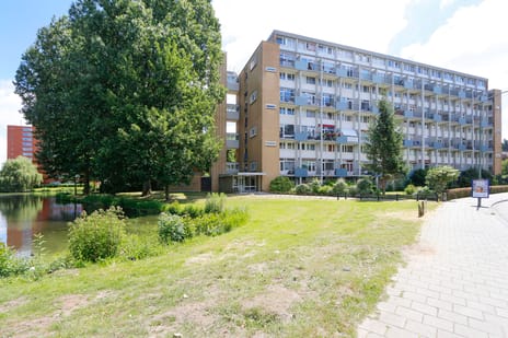 Van Bosseplantsoen thumbnail