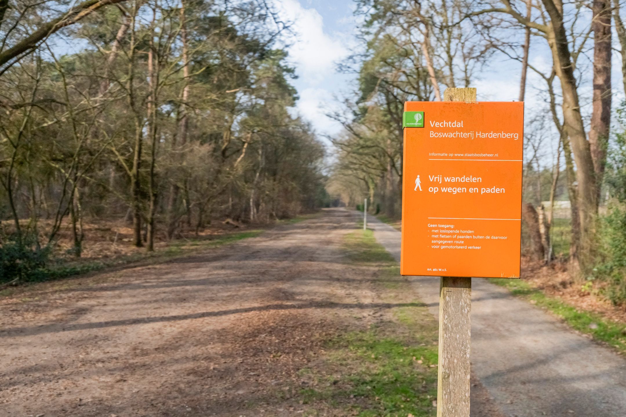 Photo 15 of Grote Esweg 8-A