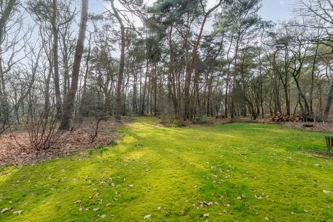 Photo 43 of Grote Esweg 8-A