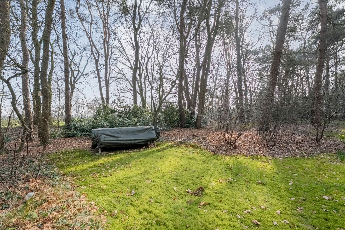 Photo 44 of Grote Esweg 8-A