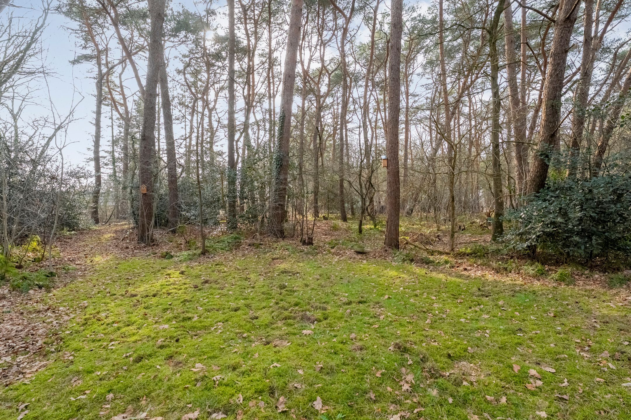 Photo 45 of Grote Esweg 8-A