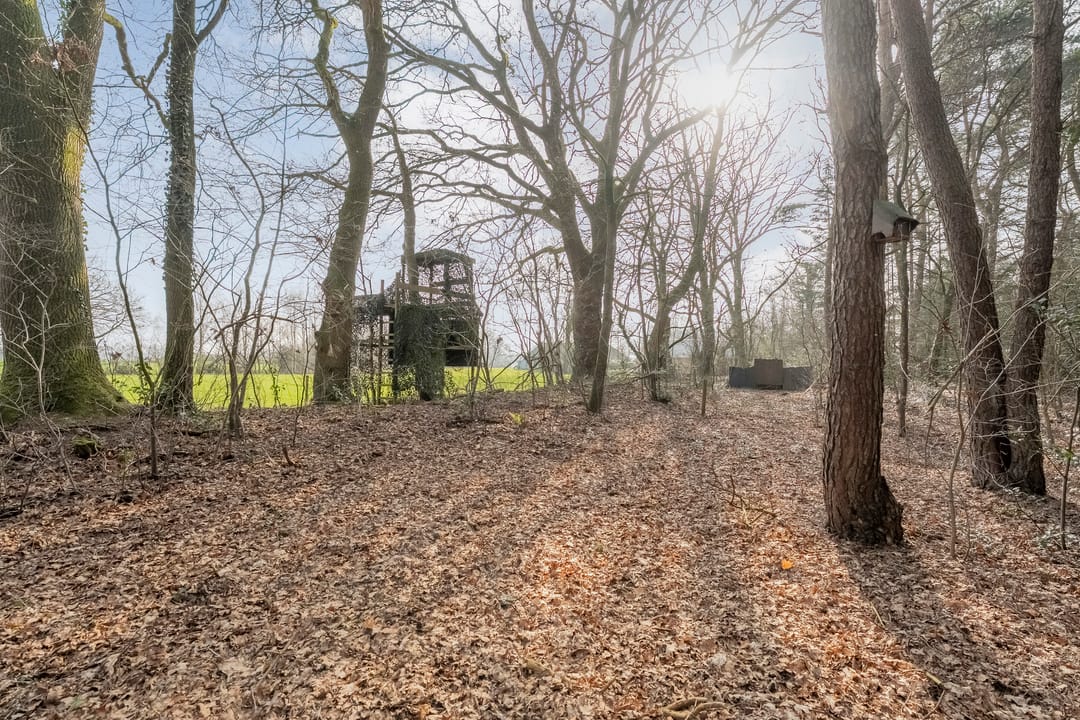 Photo 46 of Grote Esweg 8-A