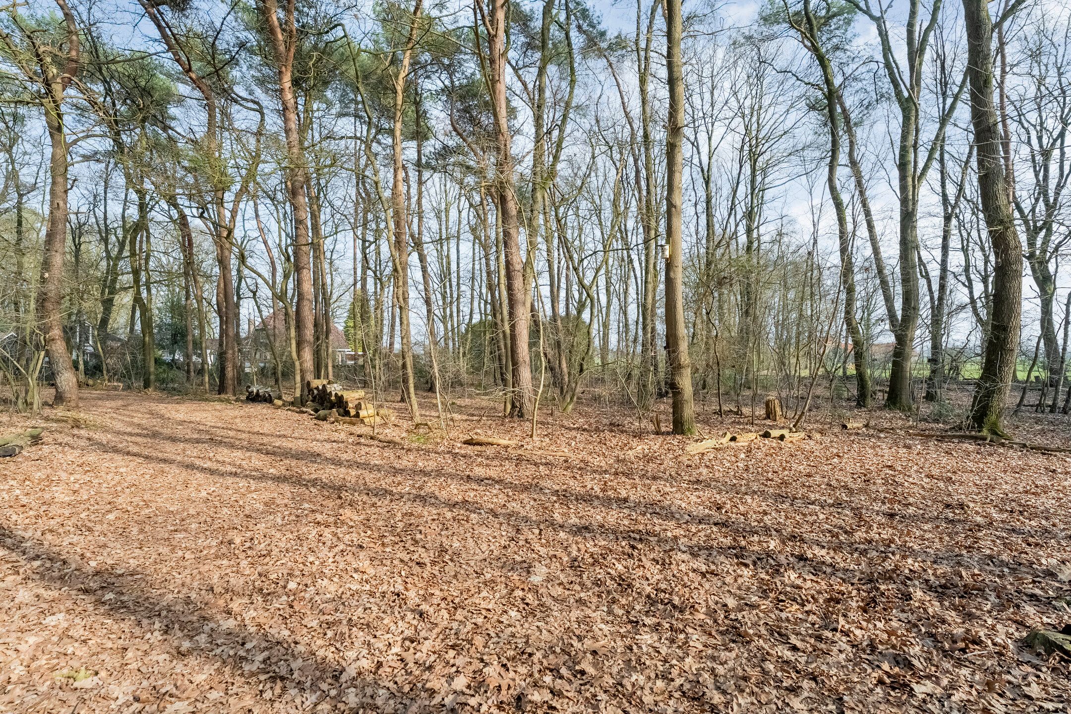 Photo 48 of Grote Esweg 8-A