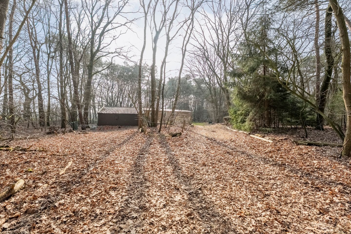 Photo 49 of Grote Esweg 8-A