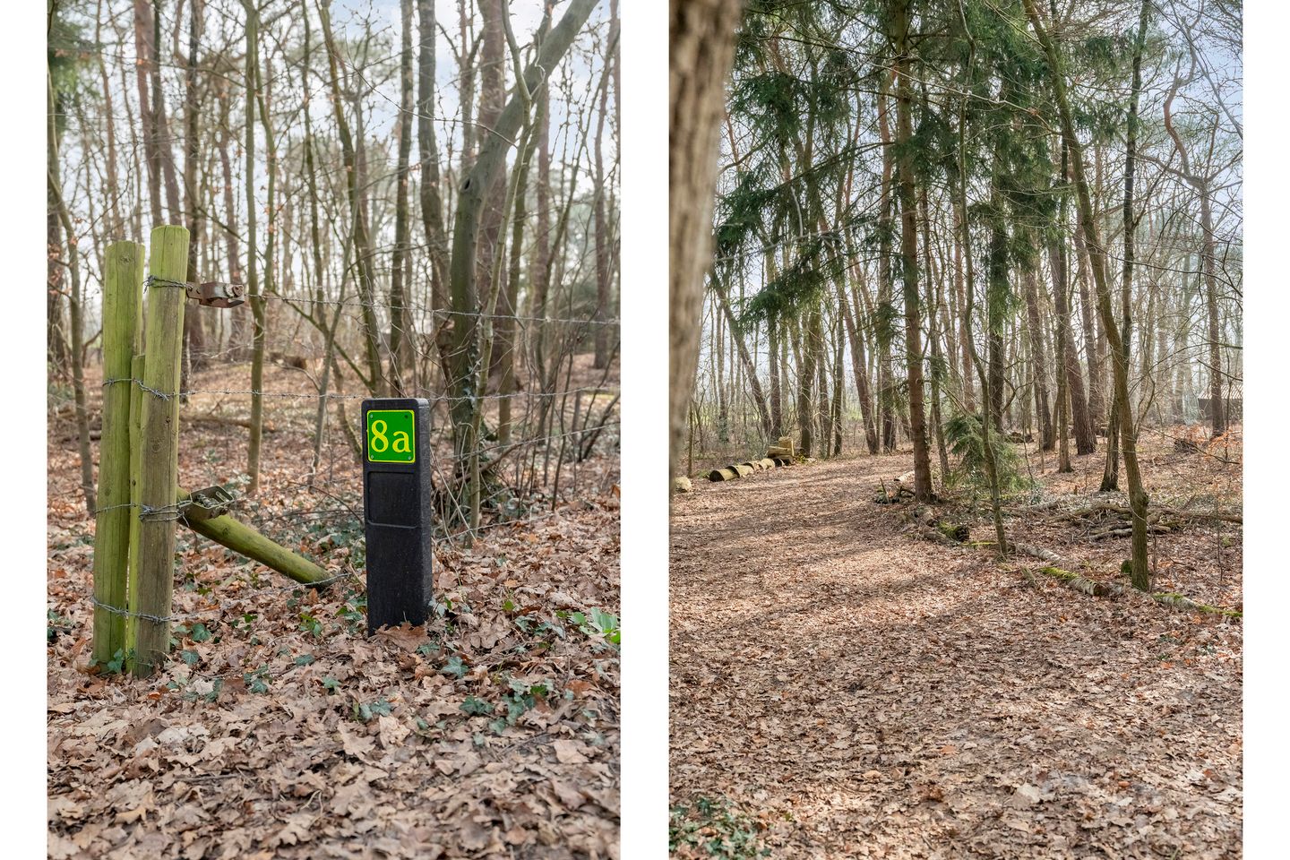 Photo 50 of Grote Esweg 8-A