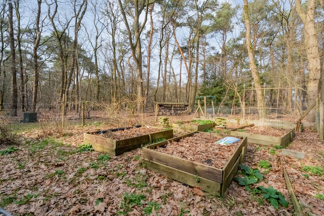 Photo 47 of Grote Esweg 8-A