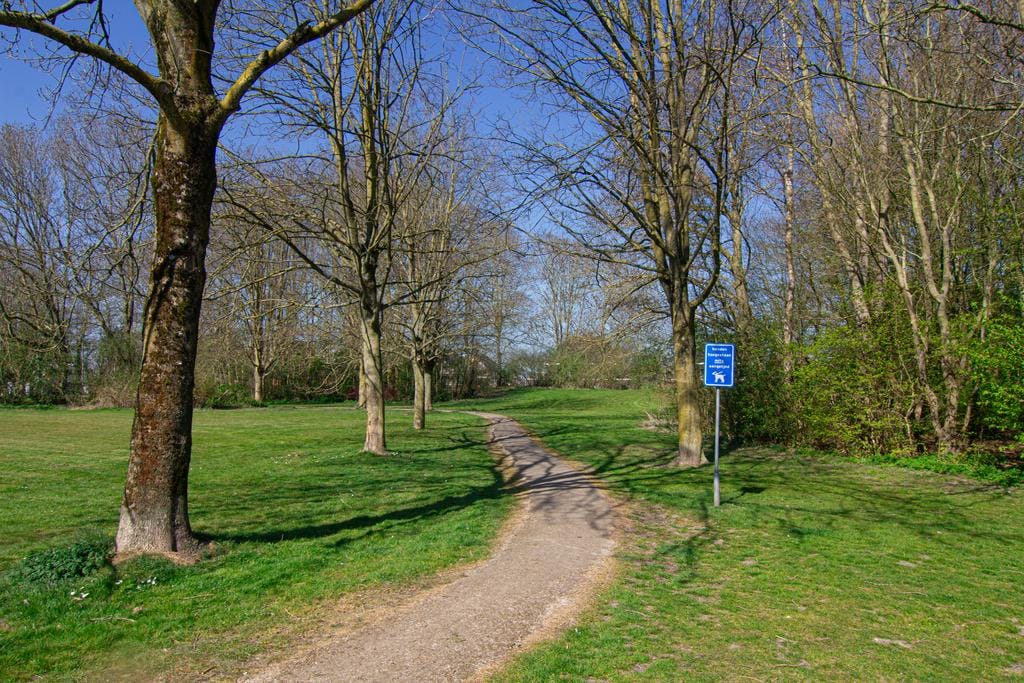 Foto 30 van Hyacintlaan 30