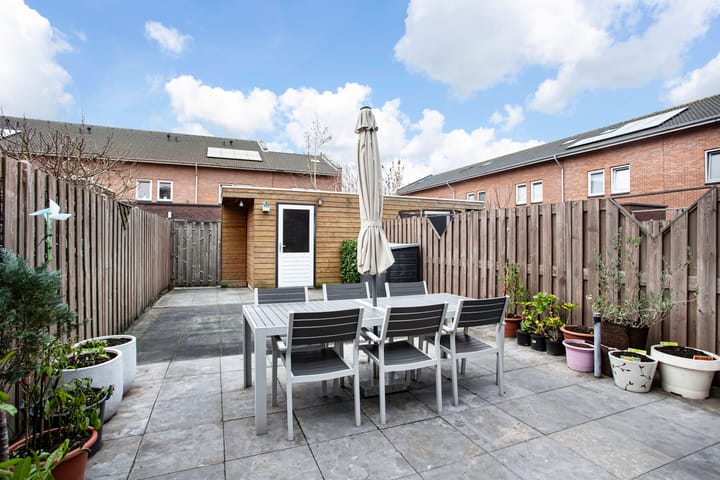 Foto 2 van Boccacciopad 3