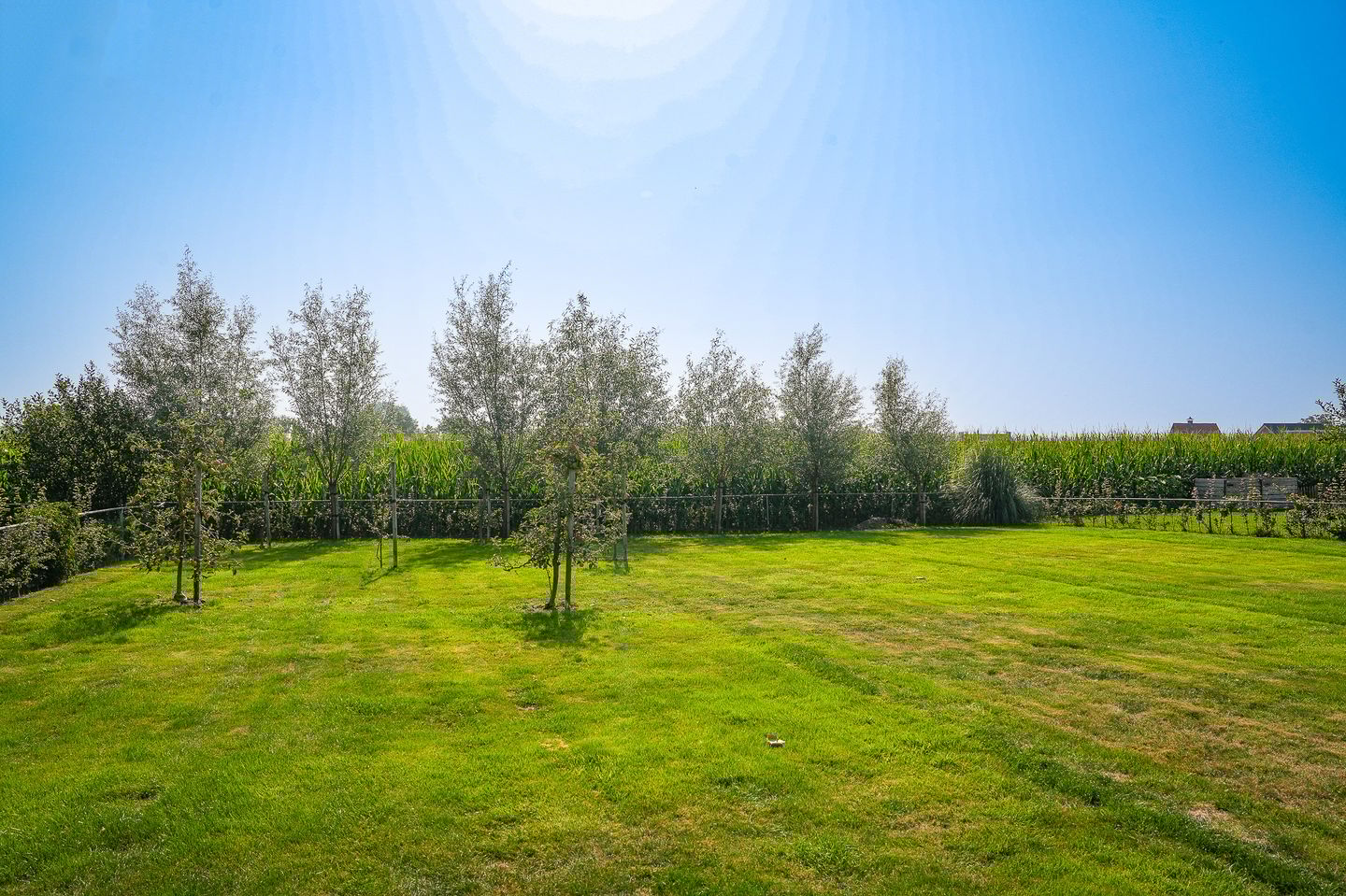 Photo 59 of Molenstraat 4-C