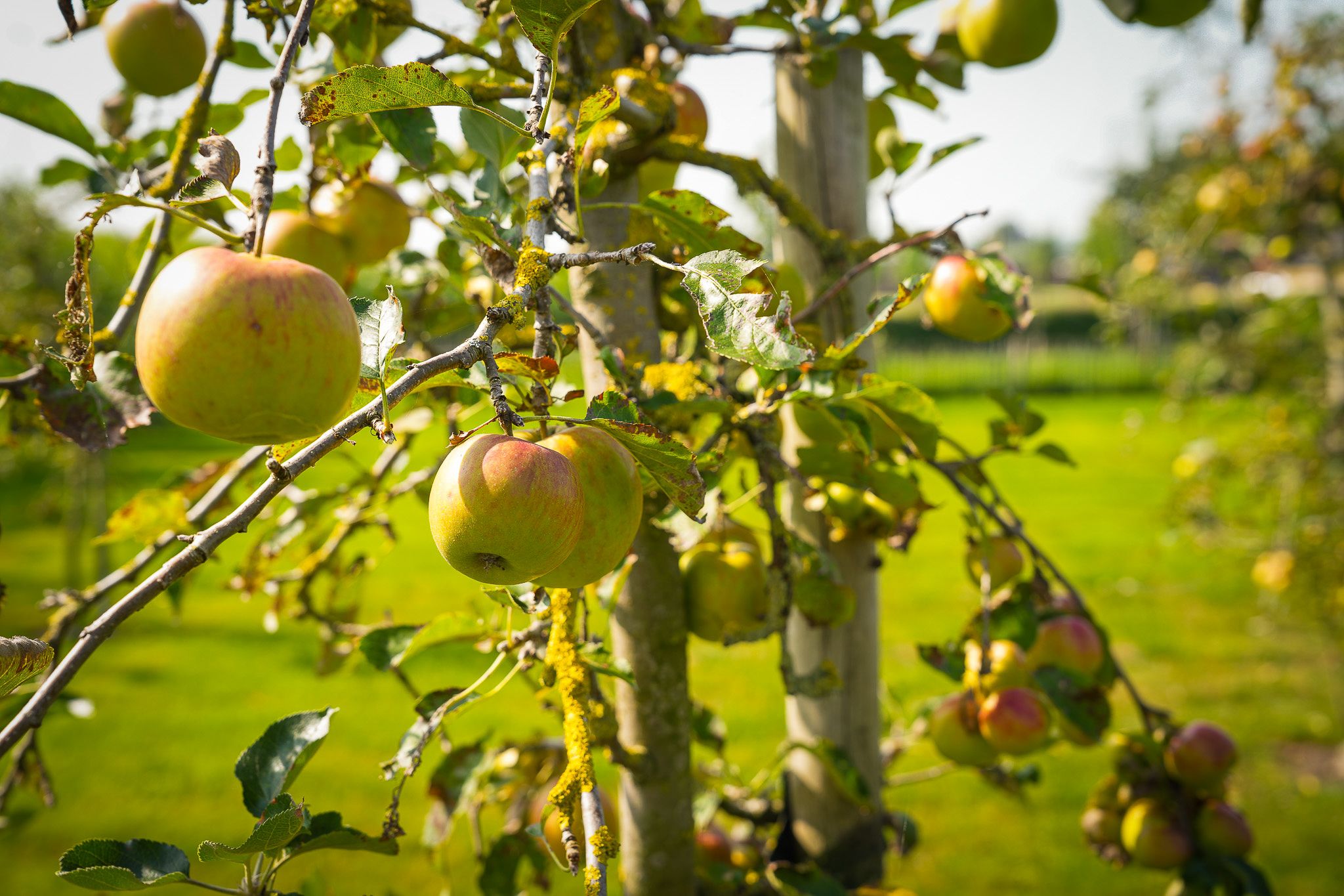 Photo 60 of Molenstraat 4-C