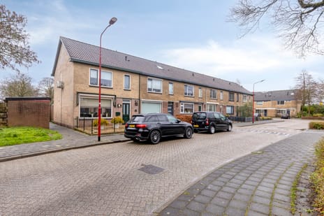 undefined main image