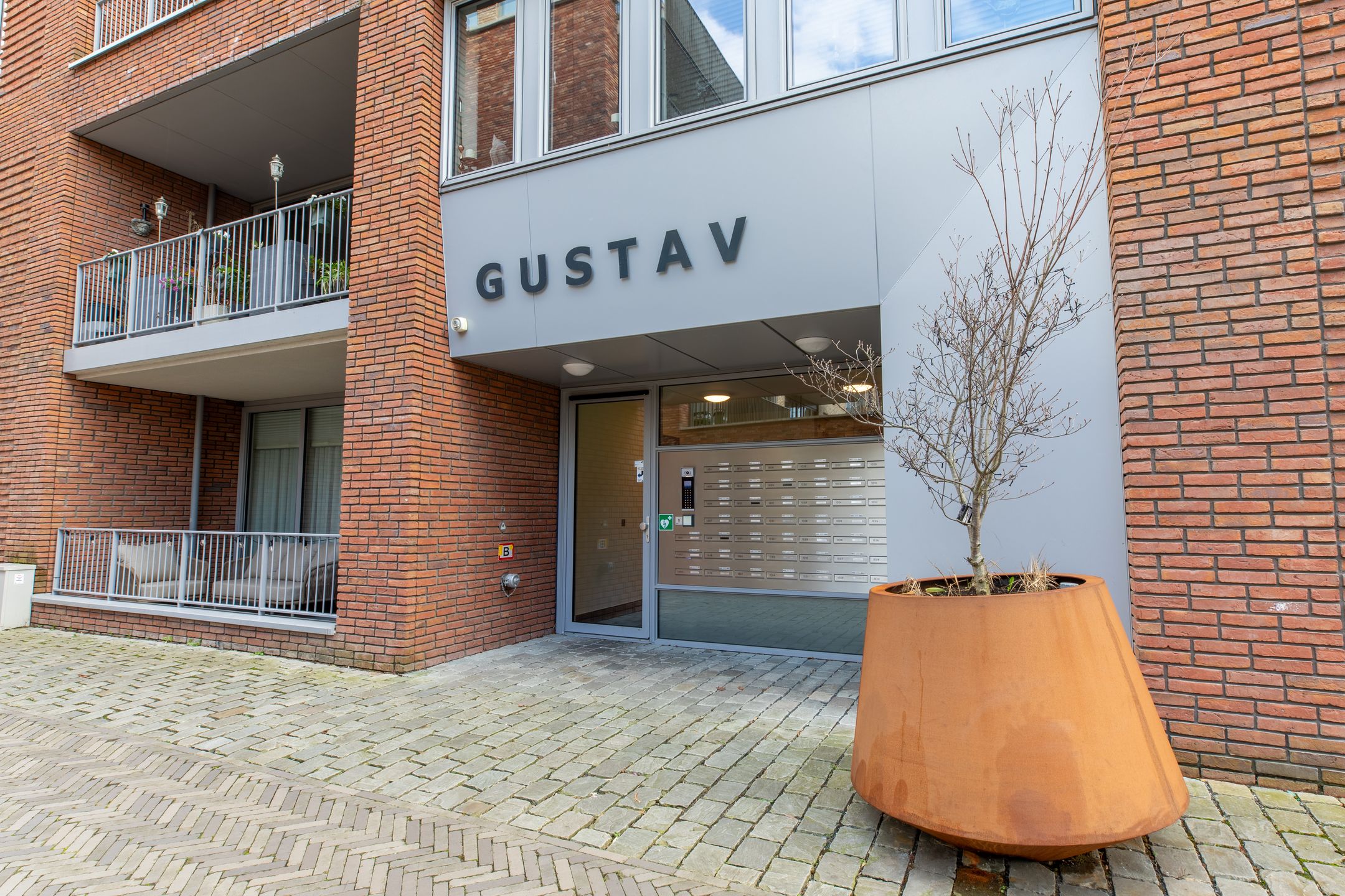 Photo 3 of De Cassij 1-D08