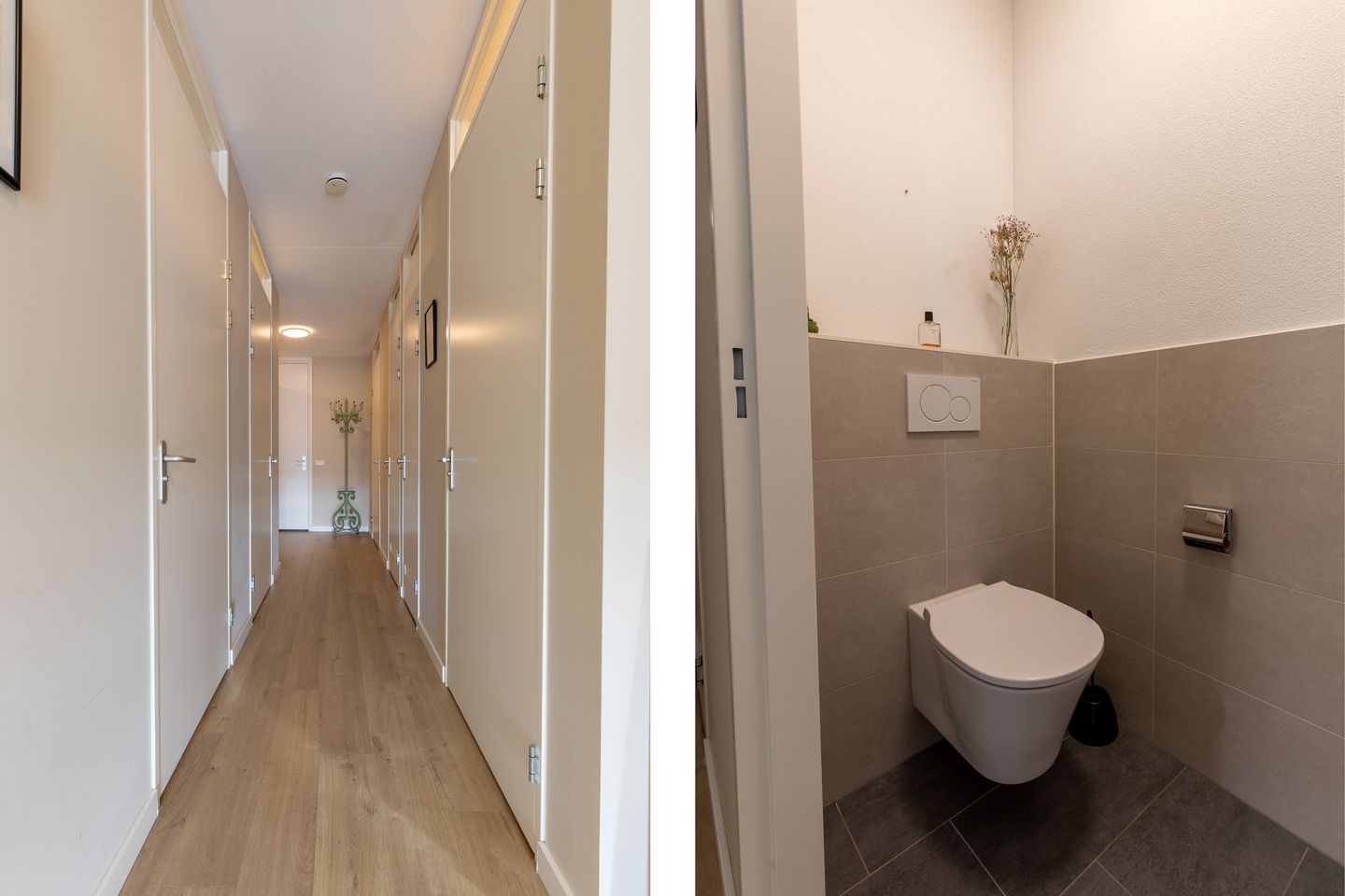 Photo 5 of De Cassij 1-D08