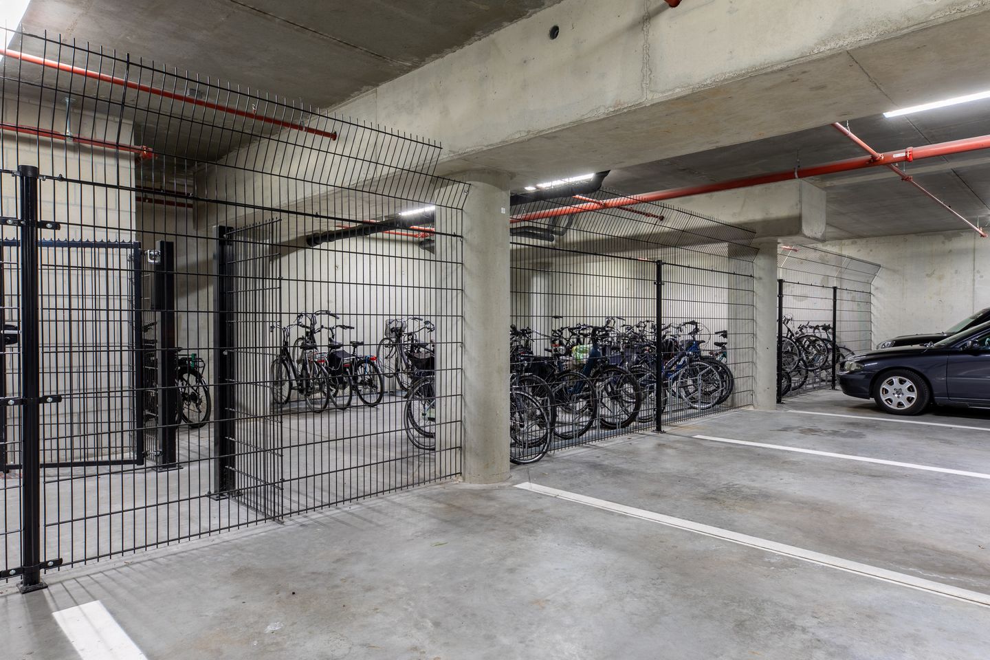 Photo 20 of De Cassij 1-D08