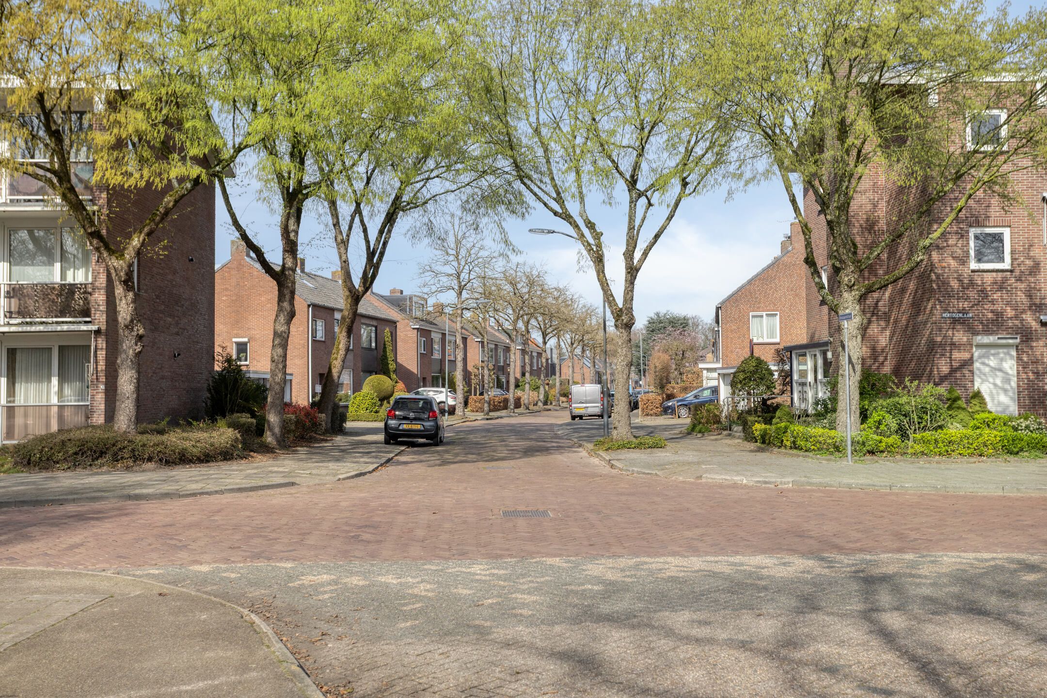 Foto 30 van Drossaardstraat 34