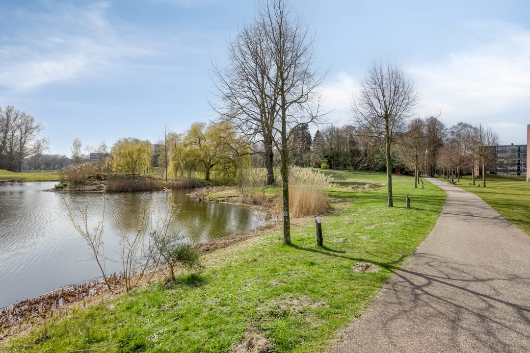 Foto 31 van Drossaardstraat 34