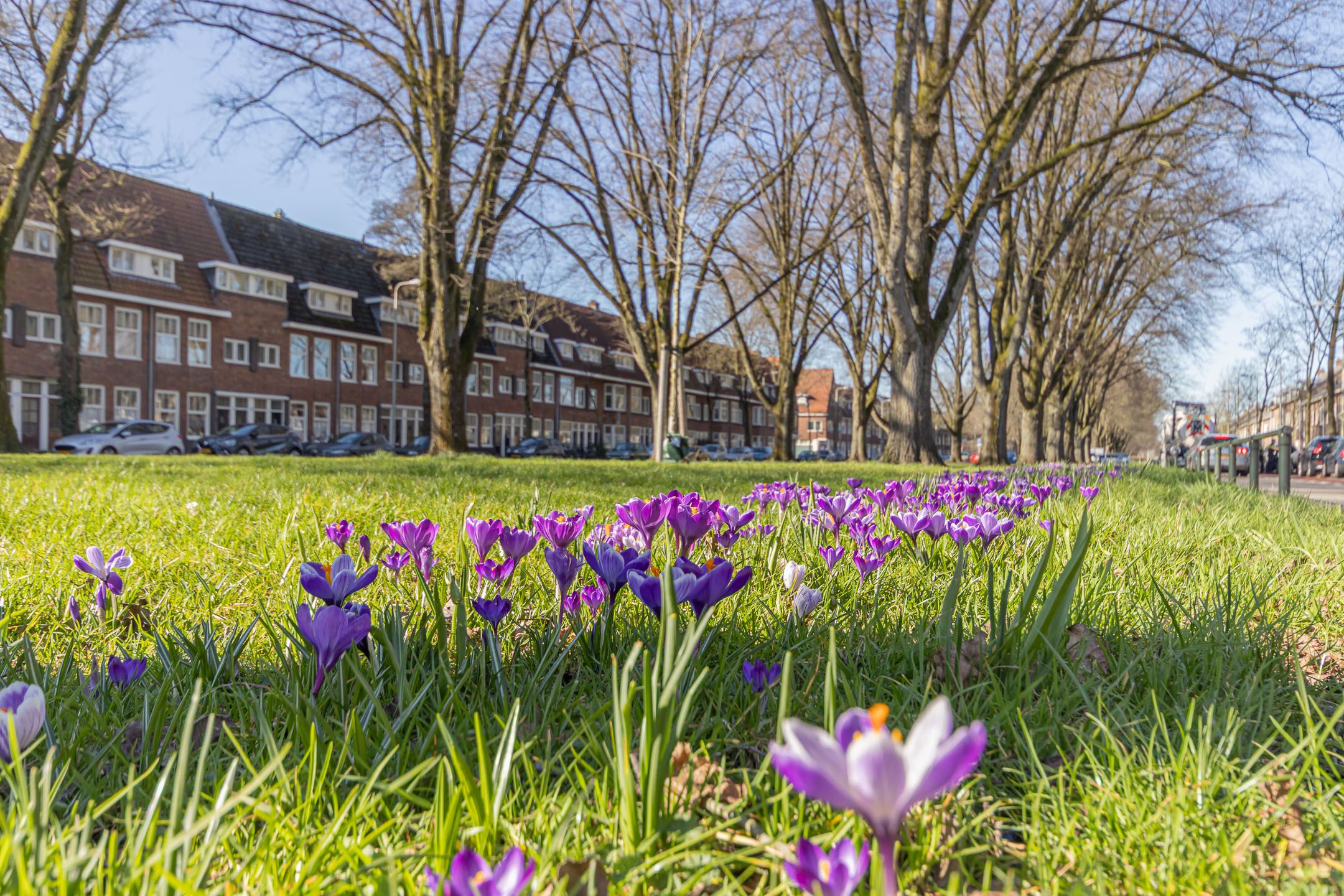 Burgemeester van Tuyllkade 1 