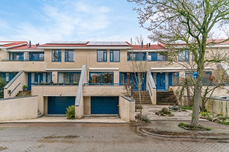 undefined main image