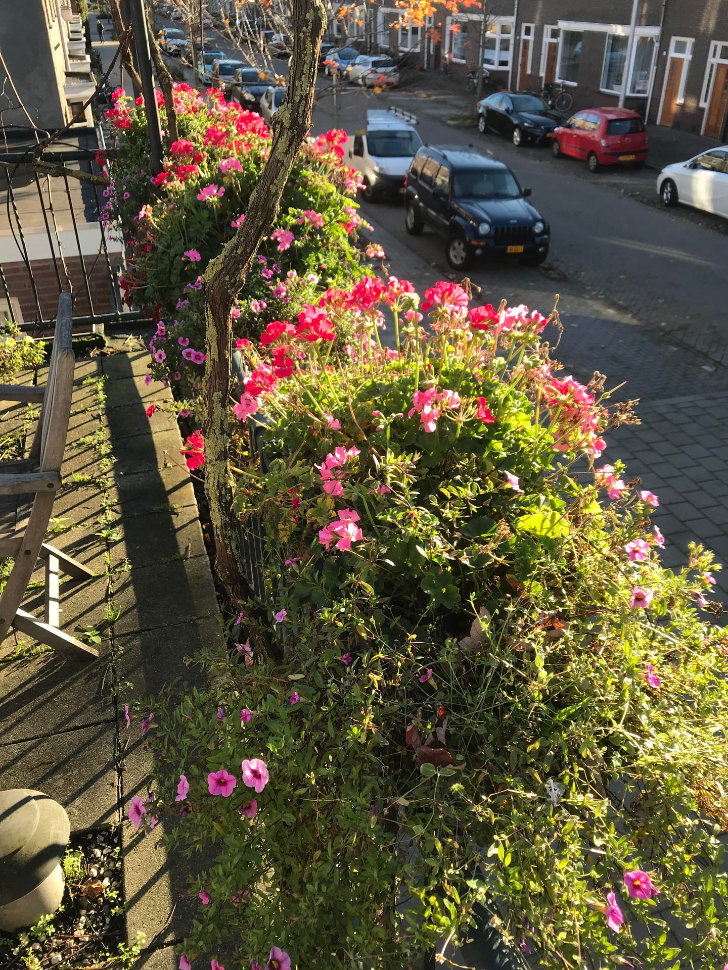 Photo 50 of Pelgrimsweg 28