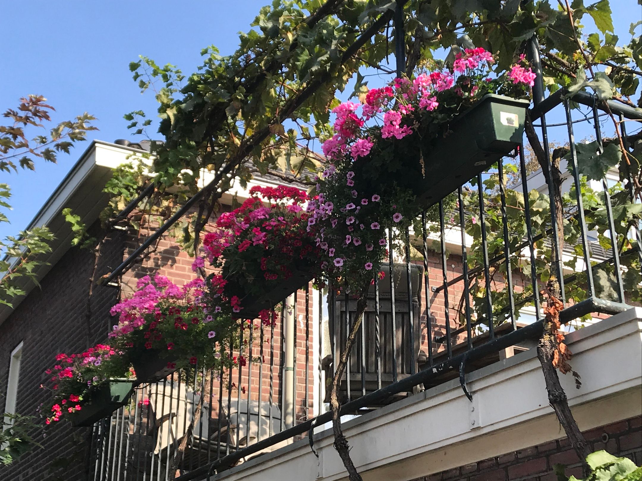 Photo 51 of Pelgrimsweg 28