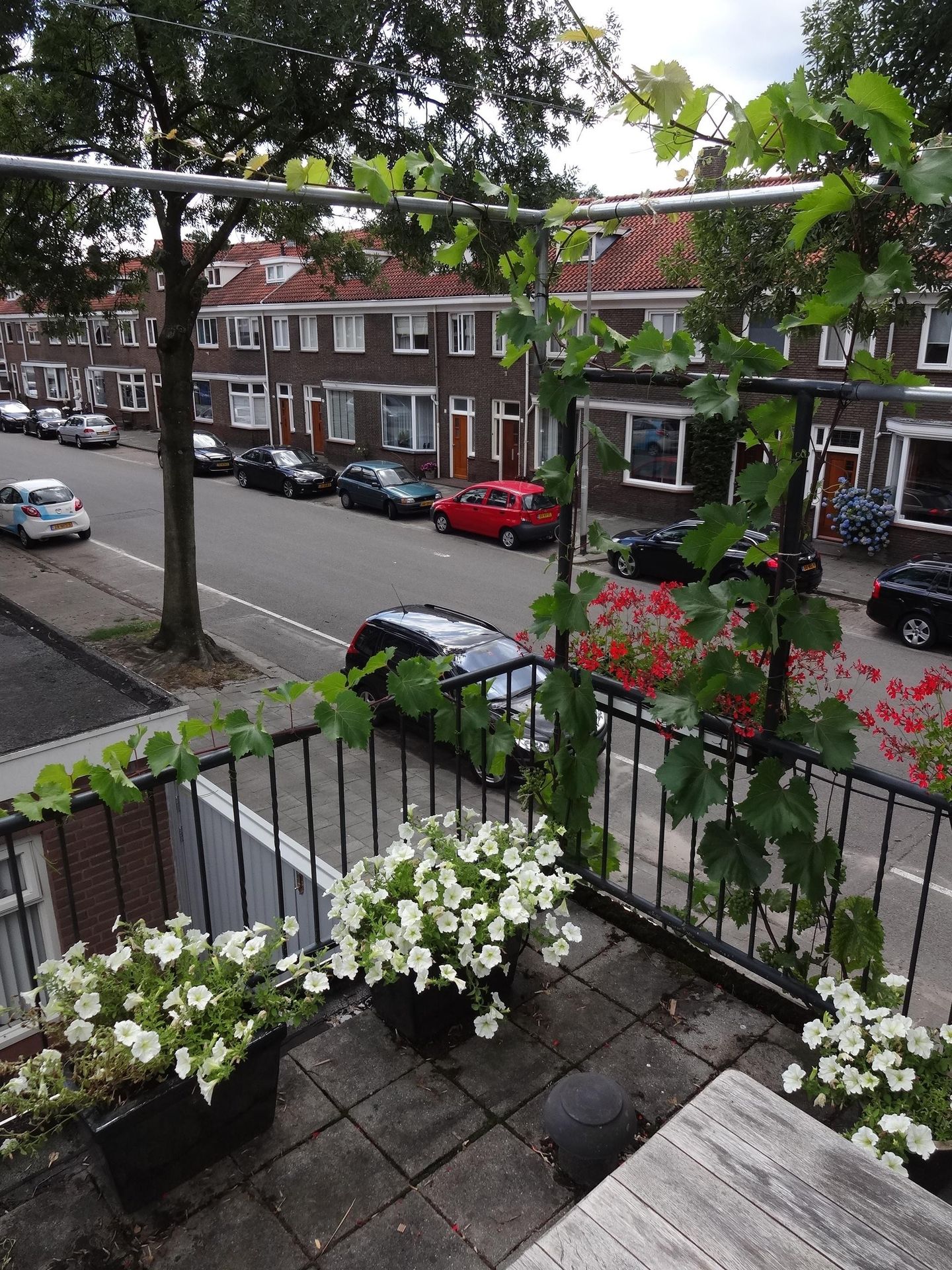 Photo 49 of Pelgrimsweg 28