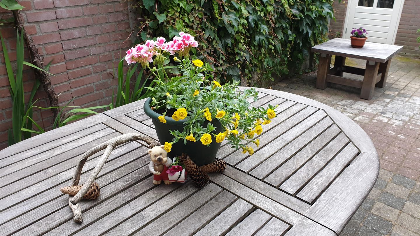 Photo 44 of Pelgrimsweg 28