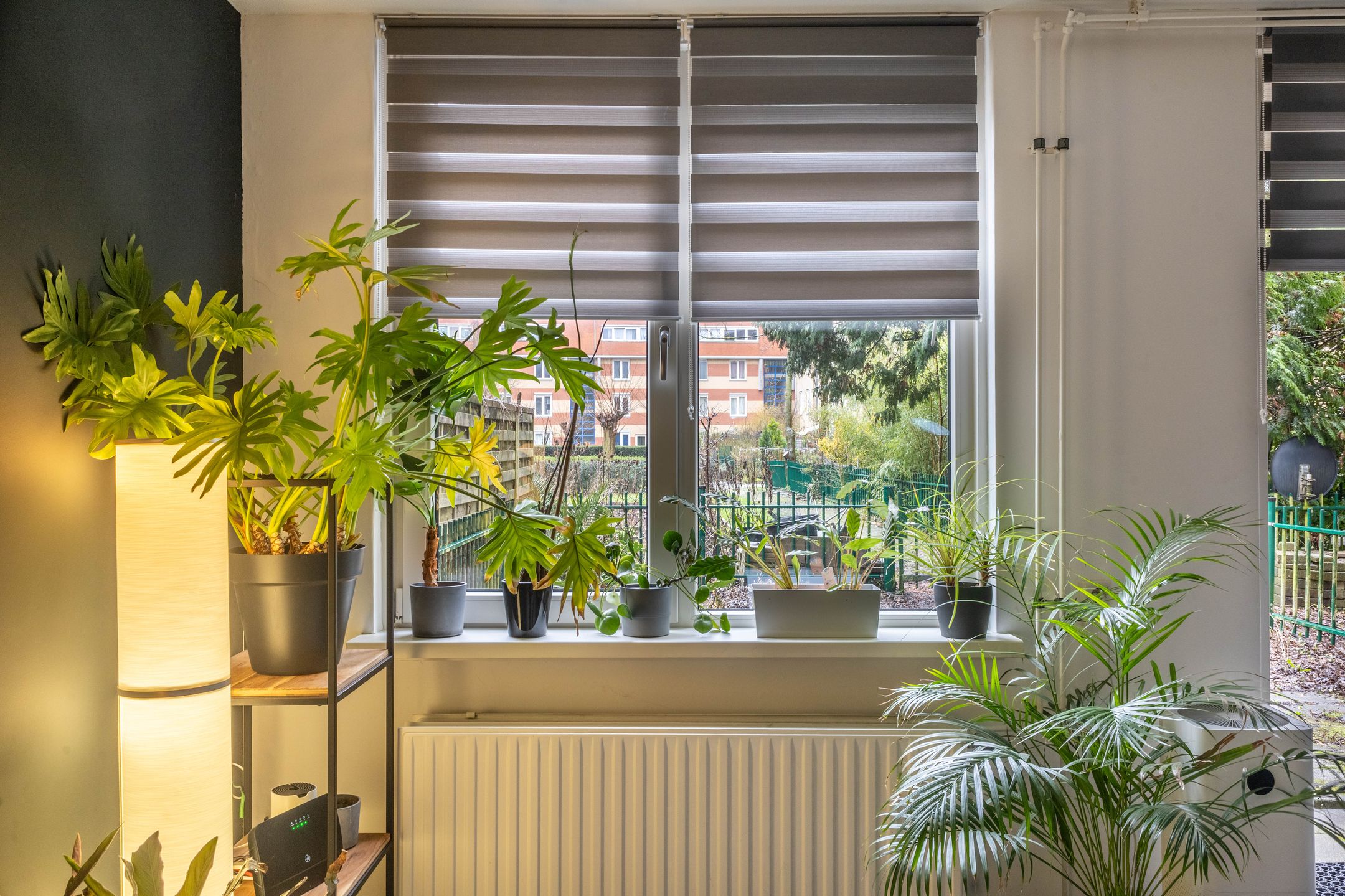 Foto 12 van Kloekhorststraat 293