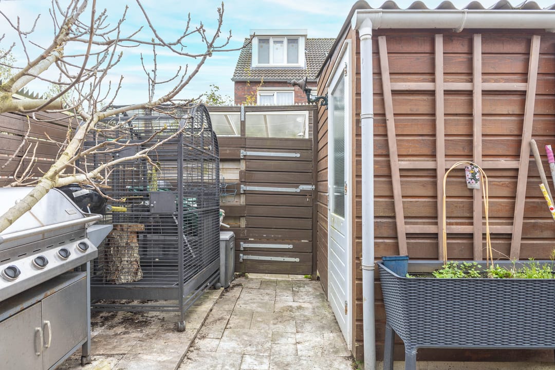 Photo 26 of EGoli 120