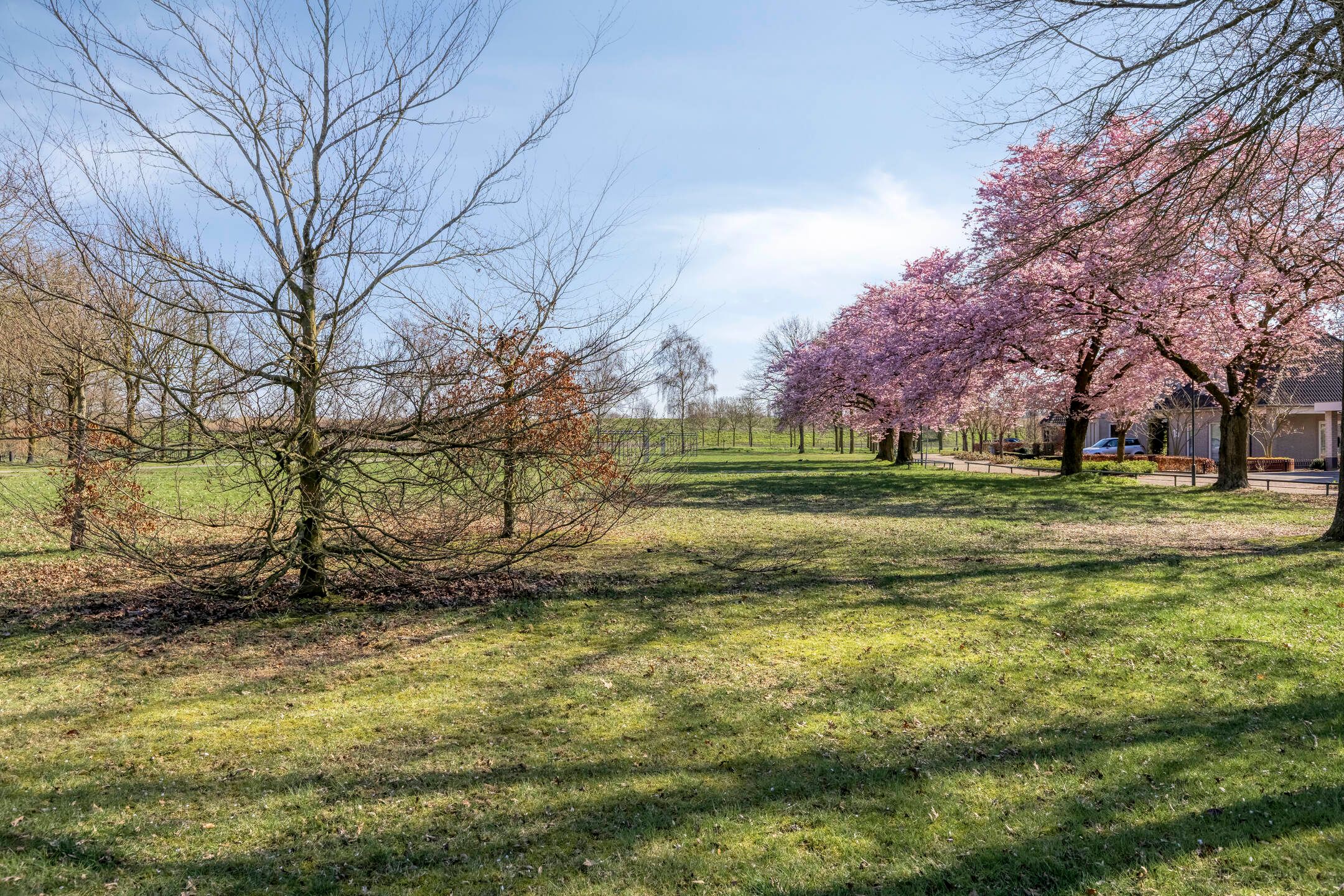 Photo 63 of De Geerden 19