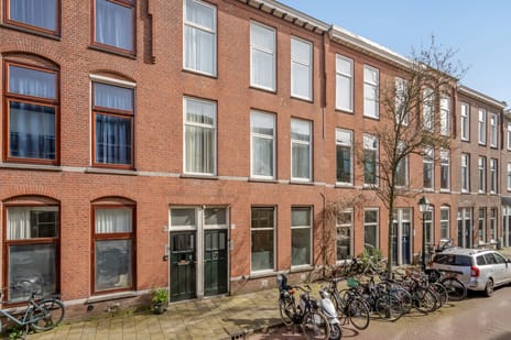 Van Lumeystraat thumbnail