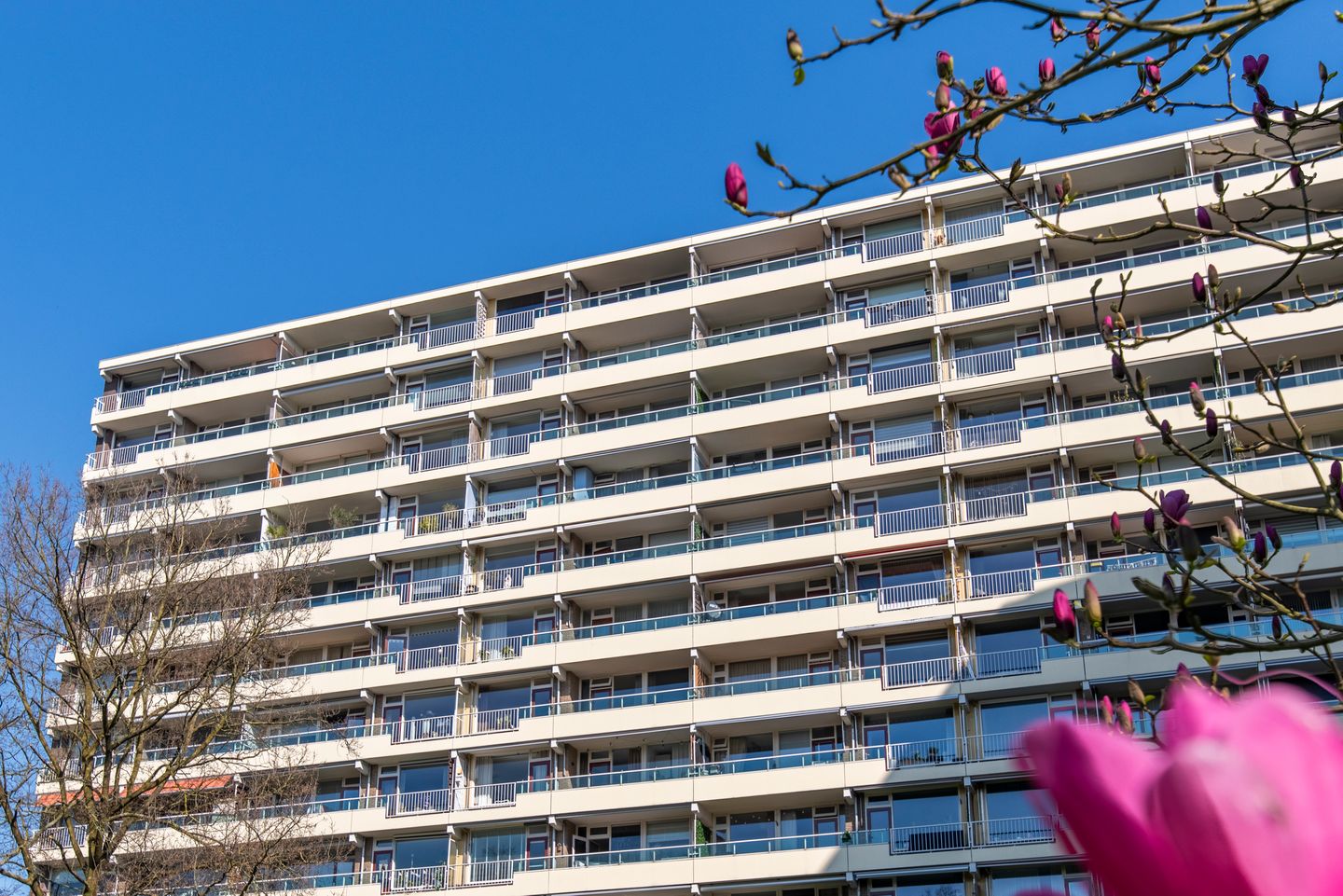 Photo 29 of Prins Willem-Alexanderpark 607