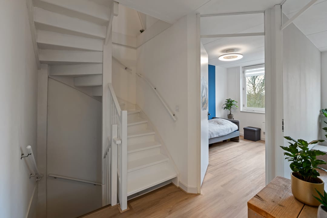 Photo 28 of Goudvink 21