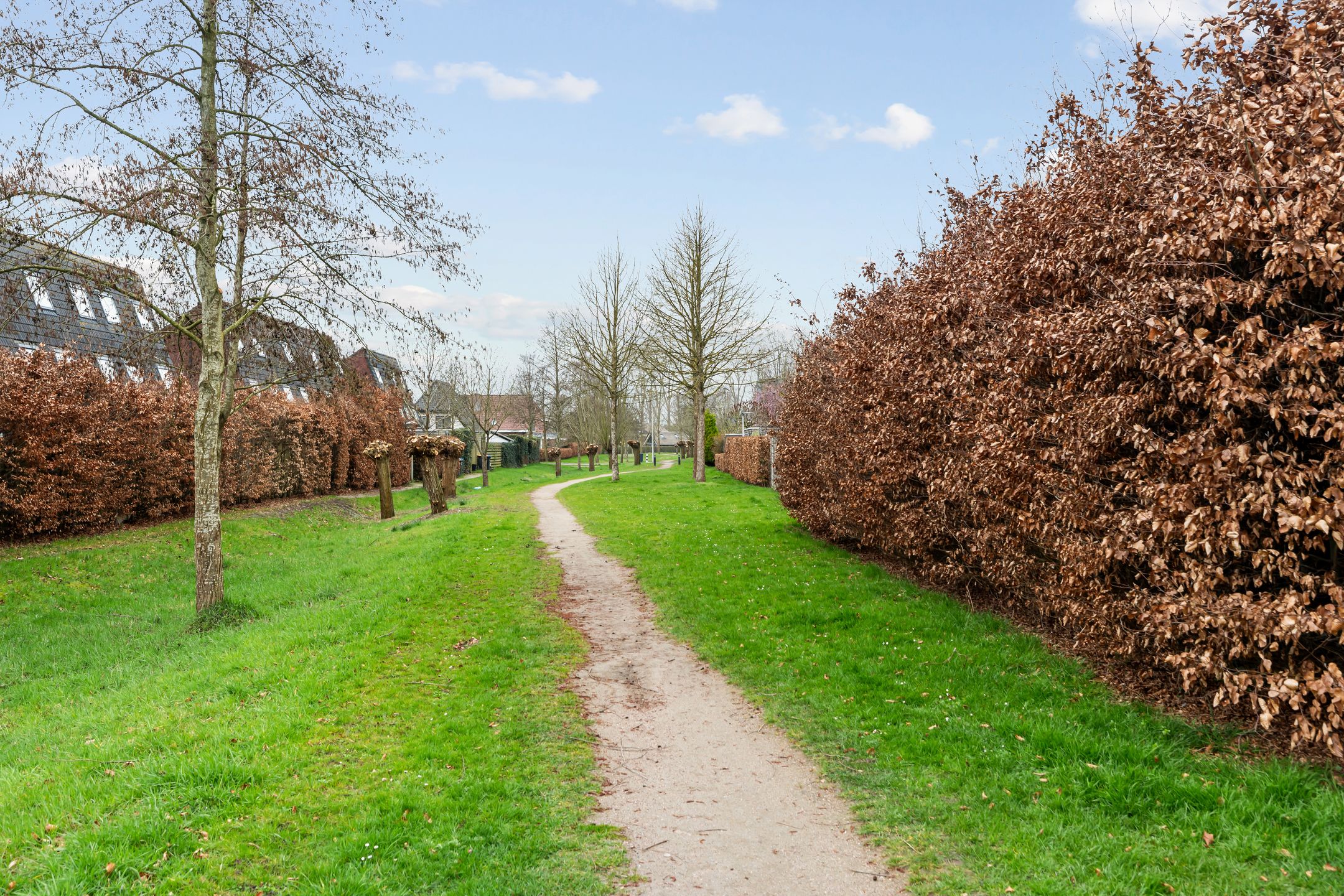 Photo 42 of Goudvink 21