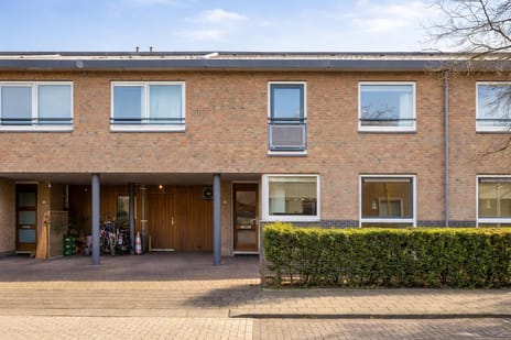 undefined main image