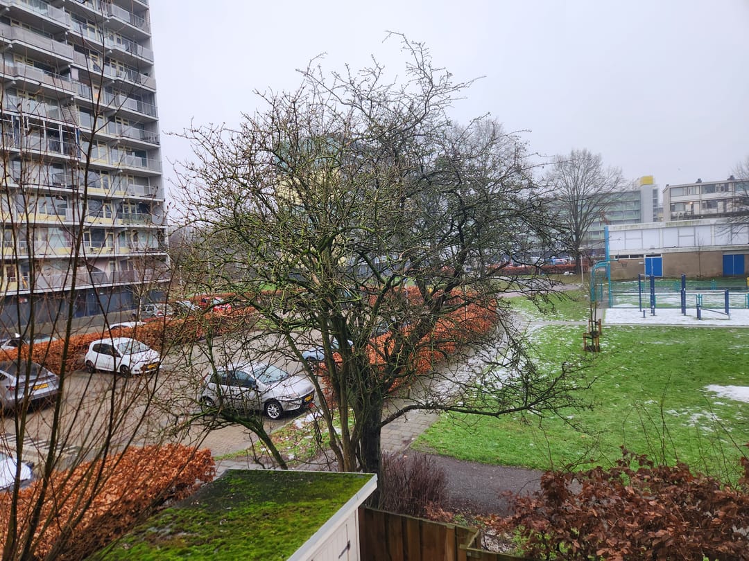 Foto 16 van Vliestroom 237