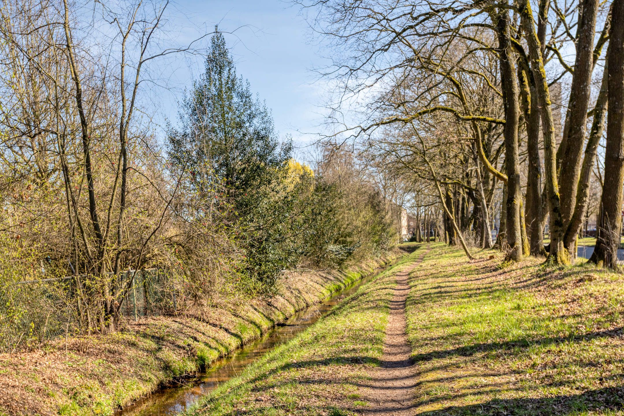 Foto 36 van Schiestraat 53