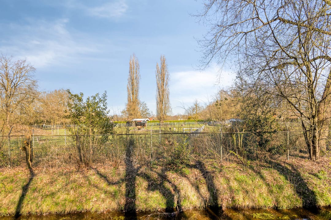 Foto 37 van Schiestraat 53