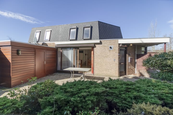 Foto 2 van Liguster 87