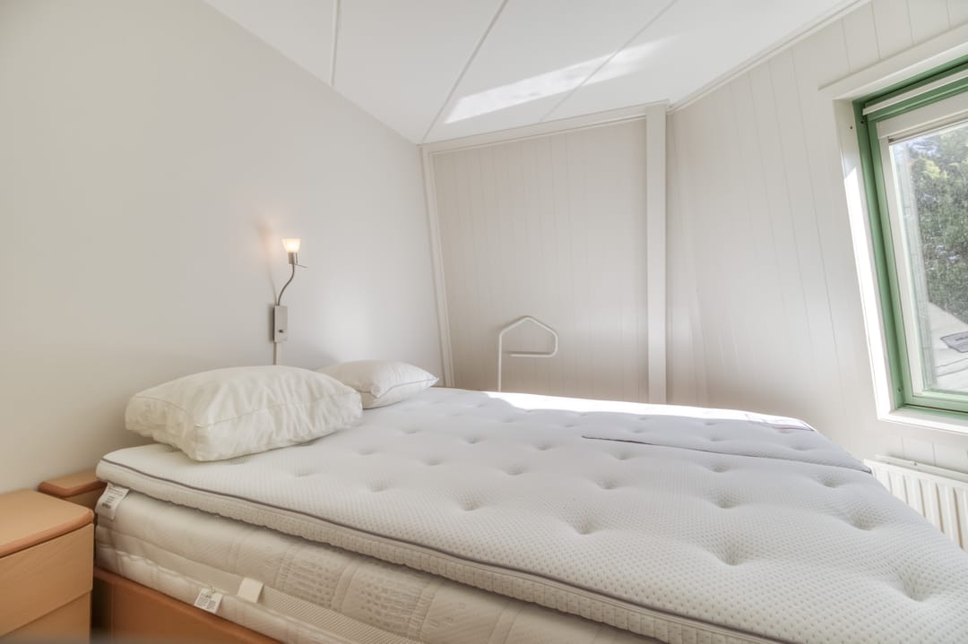 Foto 32 van Liguster 87