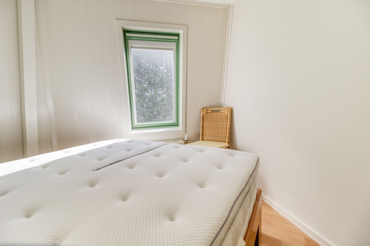 Foto 34 van Liguster 87