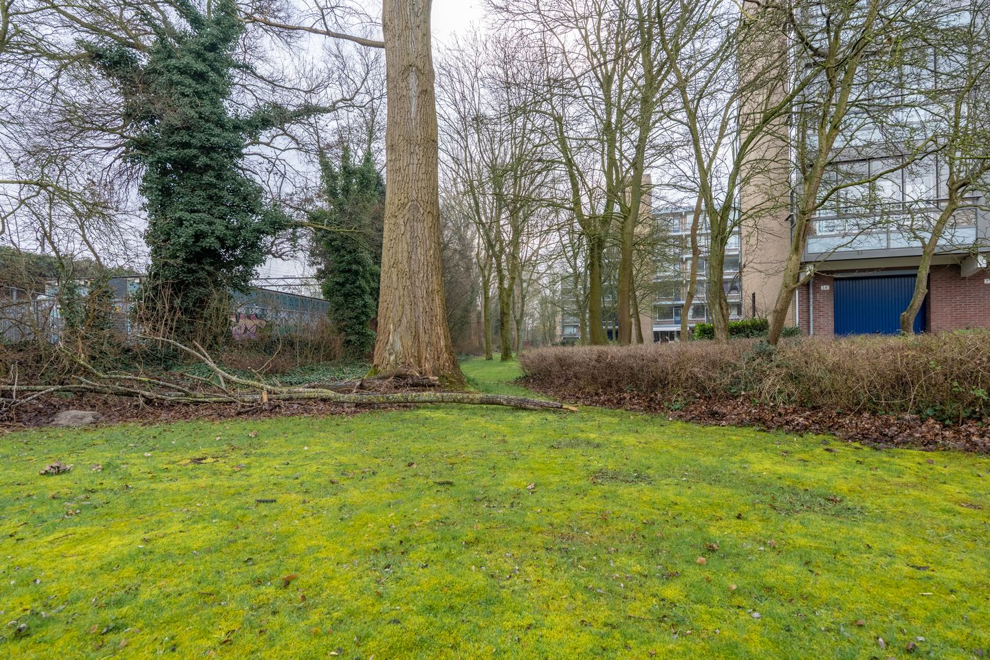 Foto 34 van Boerhaavelaan 281