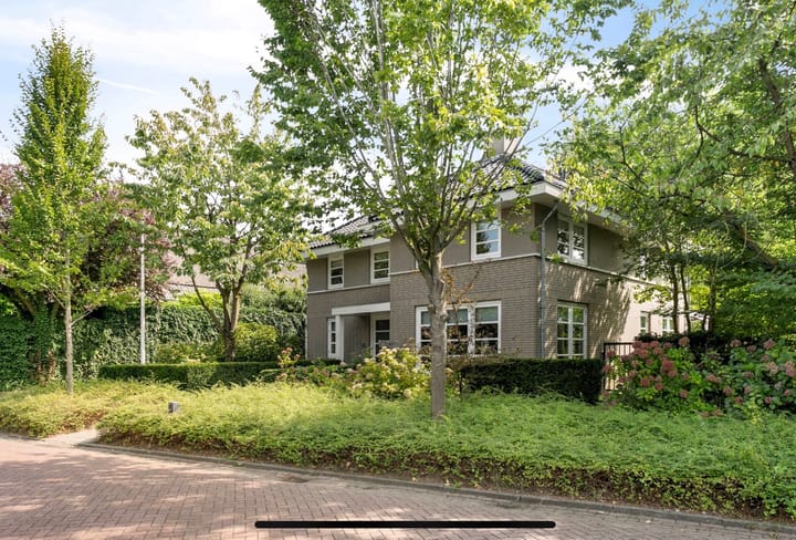 van Loonstraat 38 main image