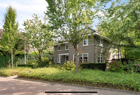 van Loonstraat thumbnail