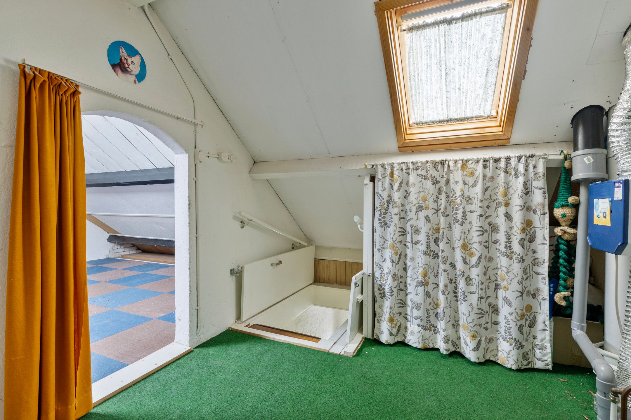 Foto 30 van Groenland 5