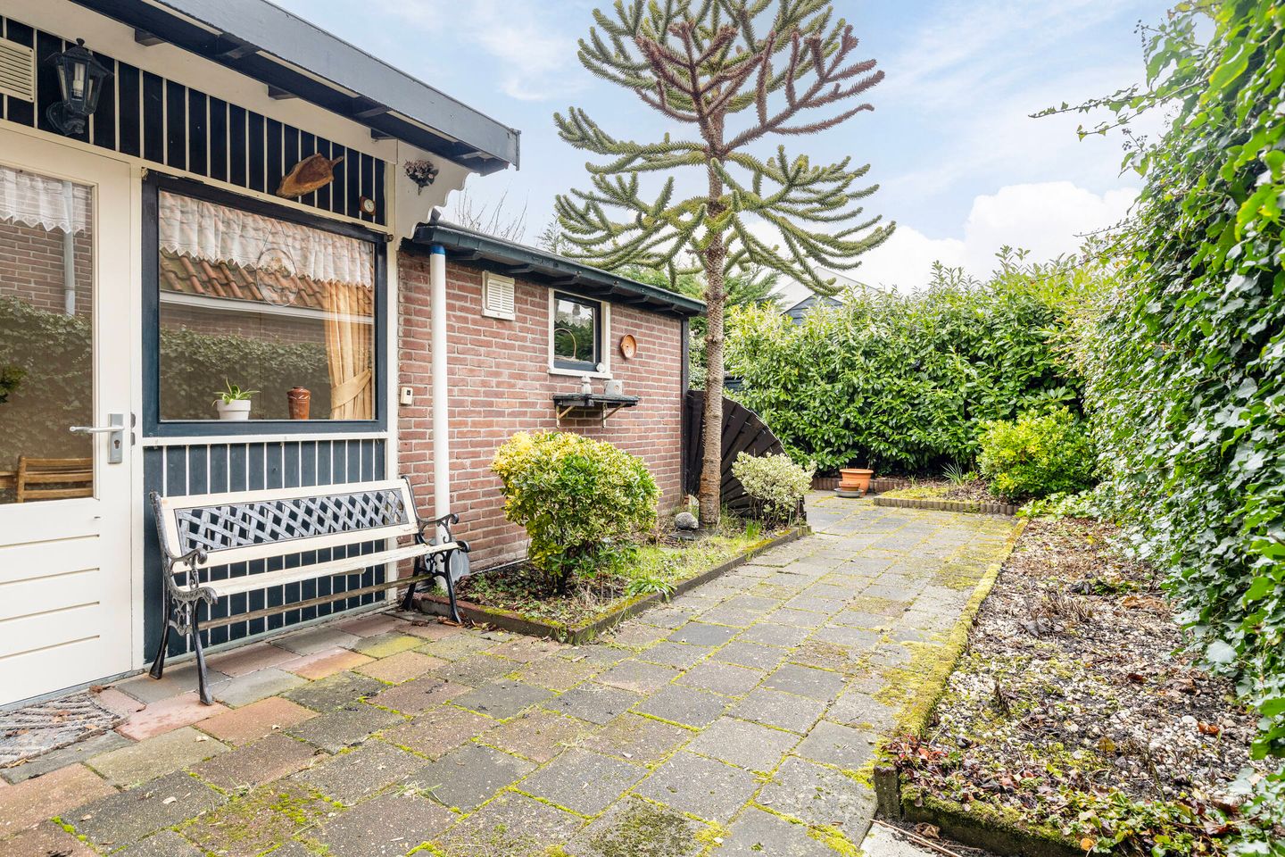 Foto 34 van Groenland 5